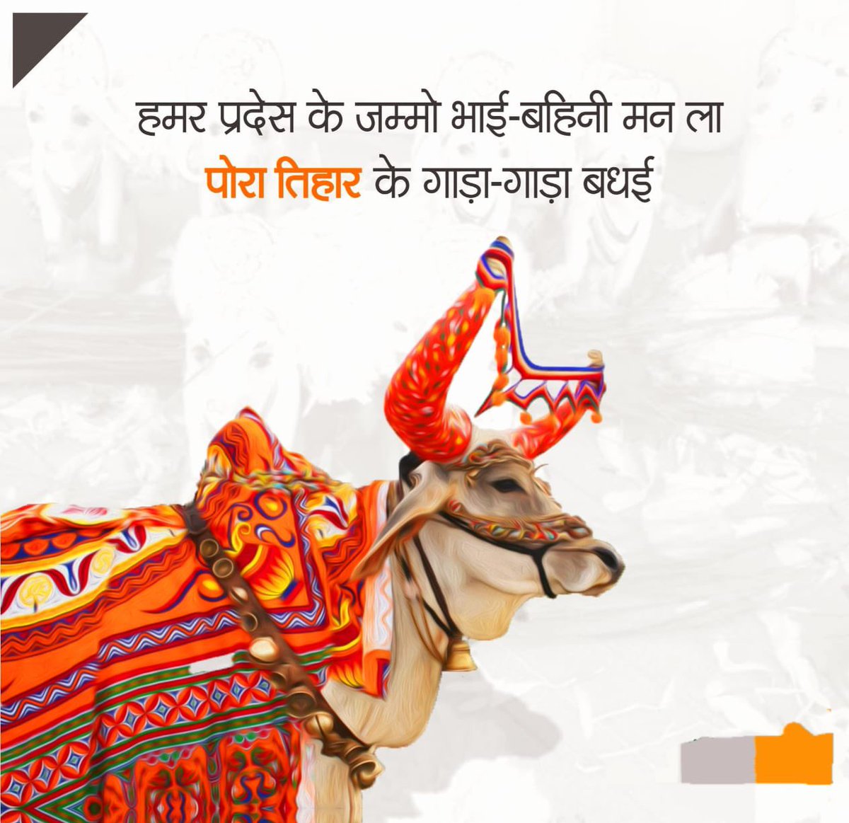 ErNamanGupta's tweet photo. पोरा के तिहार छत्तीसगढ़ के किसम किसम के सजे संस्कृति के प्रतीक हरे। 

जम्मो छत्तीसगढ़िया भाई-बहिनी मन ला रंग अऊ फूल ले सजे गाय-गरू, ठेठरी- खुरमी के महर महर महक अऊ हंसी-ख़ुशी ले गदराए ए तिहार ‘पोरा’ के गाड़ा-गाड़ा बधाई।
@CGNamanGupta https://t.co/oVneKggRzD