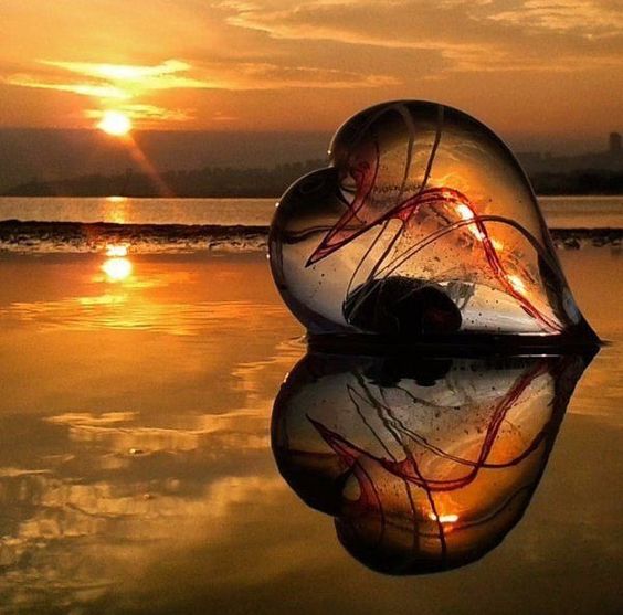 Aklimaa08705444's tweet photo. Good Morning my friends...☀️
#photo #photography 
#morning #sunrise https://t.co/j2lA0LX0mD