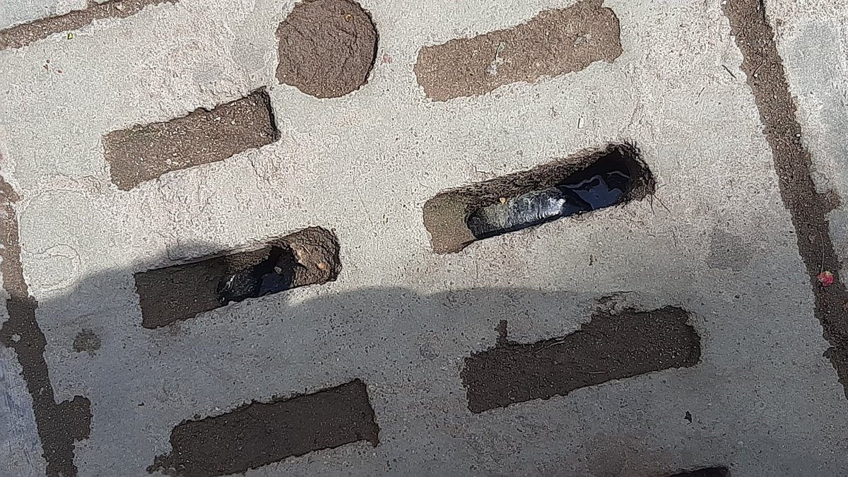 DB Vishal tweet media