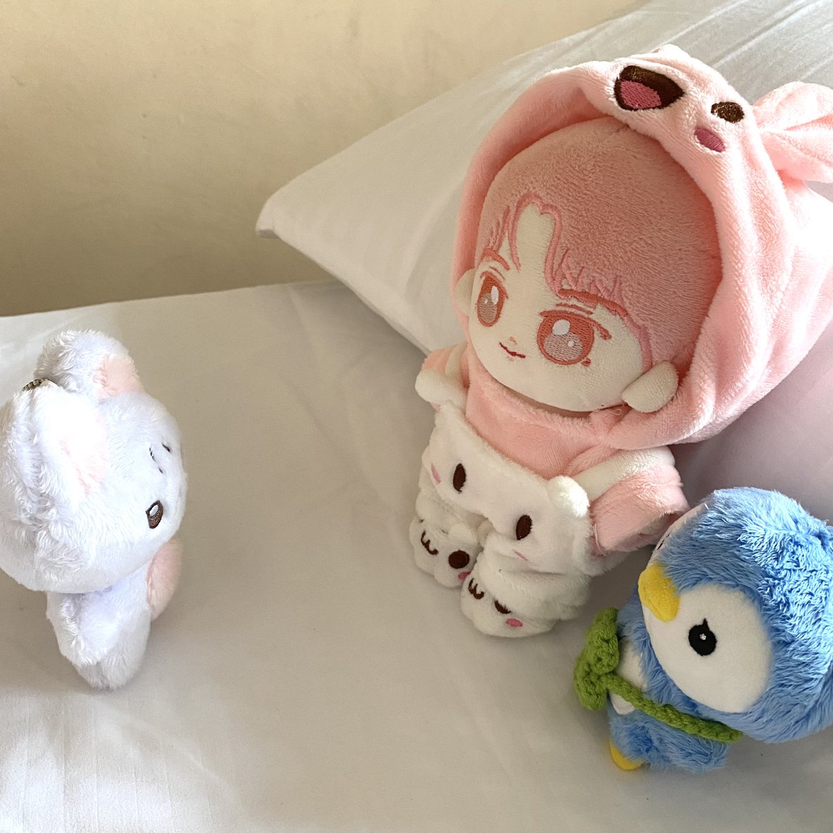 jnluvicart's tweet photo. ꒰ #luvimailz ◡̈ ꒱ 

chanicat finally meets chani and pengzzani 🫶🏼 thank you @CloverAlleyPH for bringing this fluffy baby home safely! always a smooth transaction 💗 may susunod pa next time!

— #CloverAlleyReviews https://t.co/9FKNwxKJGk