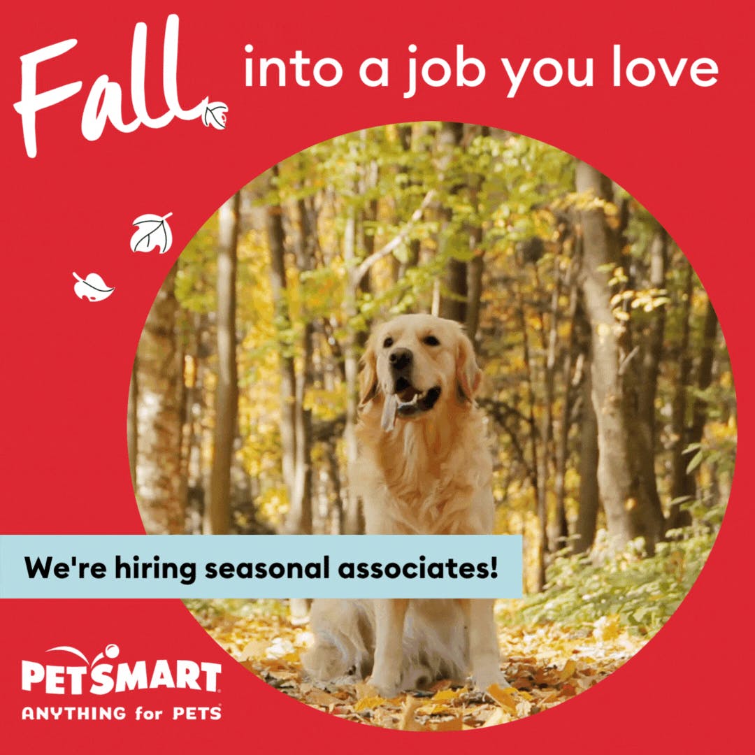 FALL in love with a career that loves you back. 🍂 Our team will do Anything For Pets - Join us today! careers.petsmart.com #LifeAtPetSmart