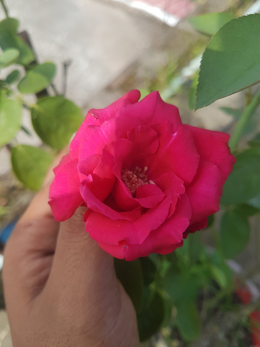 ____🦋তুমি যদি হাজার ও মানুষ এর মধ্যে আমাকে ভালোবাসো😊___

°°° তাহলে trust me😌°°°

 ____🦋আমি লক্ষ  মানুষের বিড়ে শুধু তোমাকেই ভালোবাসবো🥰