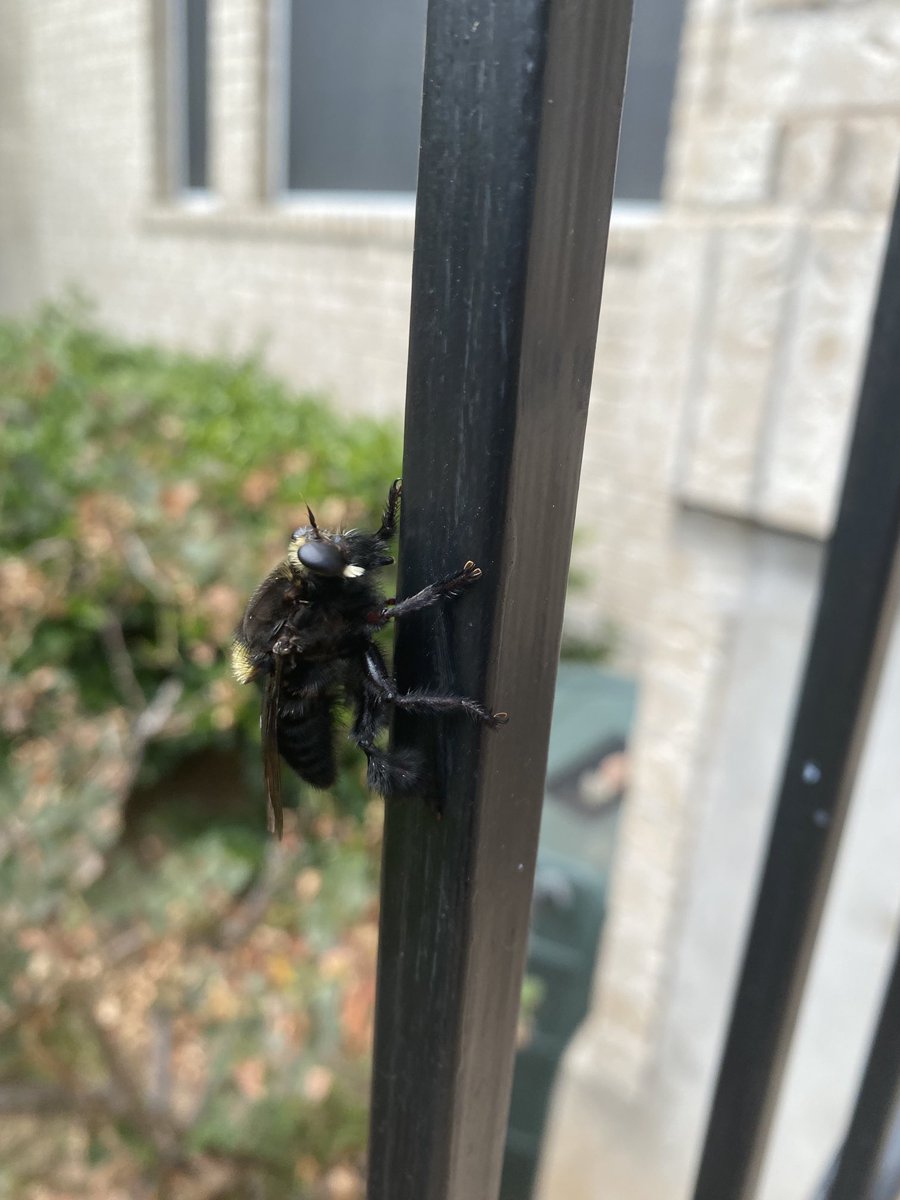 Not here anymore; see the same handle at blue sky tweet media