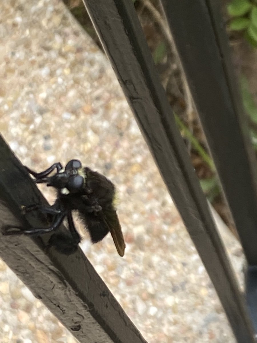 Not here anymore; see the same handle at blue sky tweet media