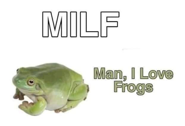 🐸 https://t.co/8ZGntyX6tL