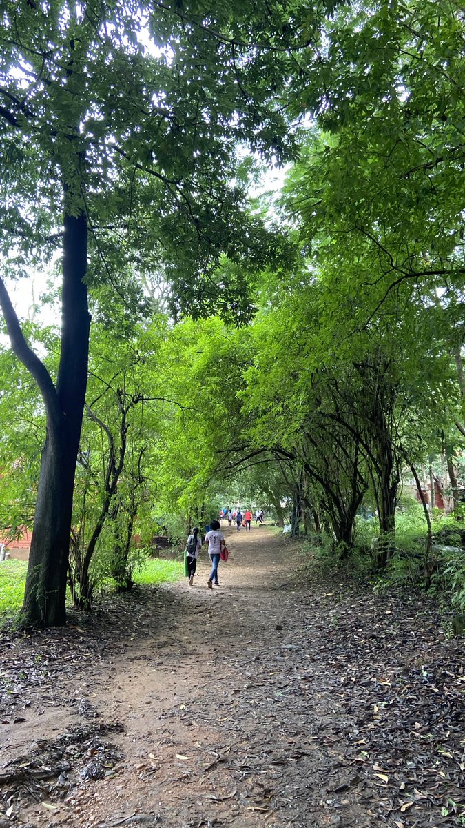 m8al's tweet photo. Valley school, Bangalore. https://t.co/rPmX7bIiVR