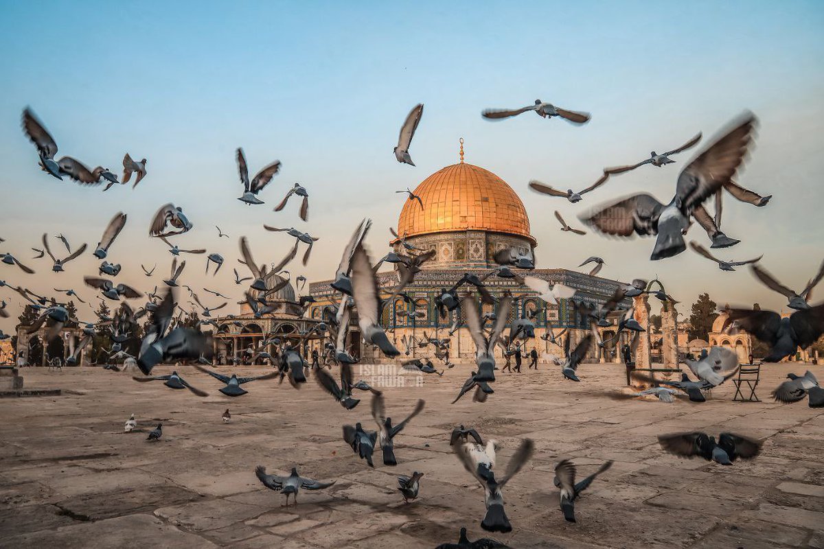 Elbet bir gün yıkılacaksın İsrail.

Biz sabırla o günü bekleyeceğiz...