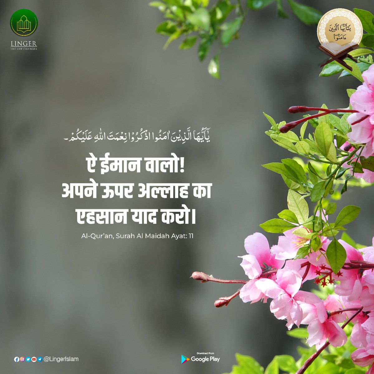 MillatCo's tweet photo. ऐ ईमान वालों ! अपने ऊपर अल्लाह का एहसान याद करो ।
Al- Quran Surah Al Maidah Ayat :11
#LingerApp #LingerLifechanger #Quran #surahmaidah https://t.co/Nt5nyz1gDf