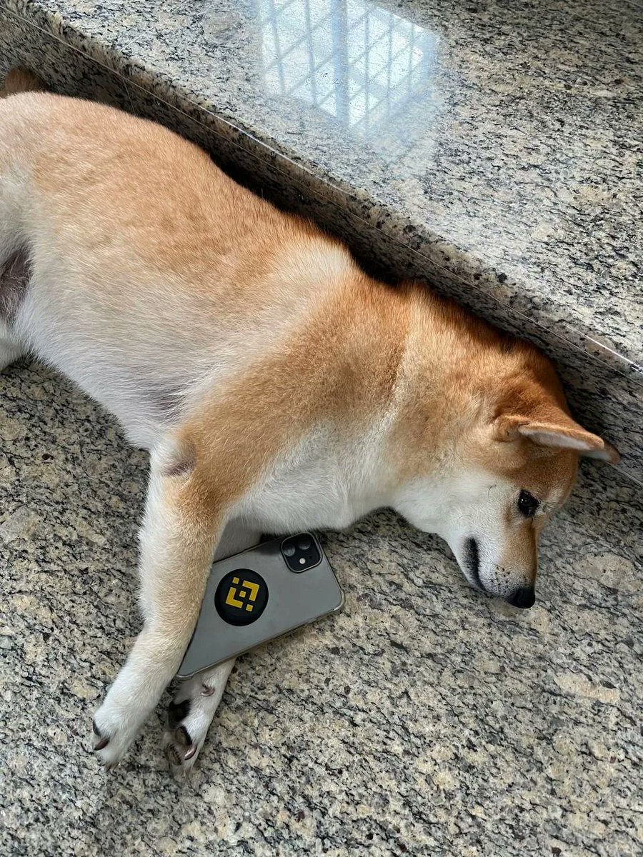Representation of me taking a 30-second break from checking my portfolio.