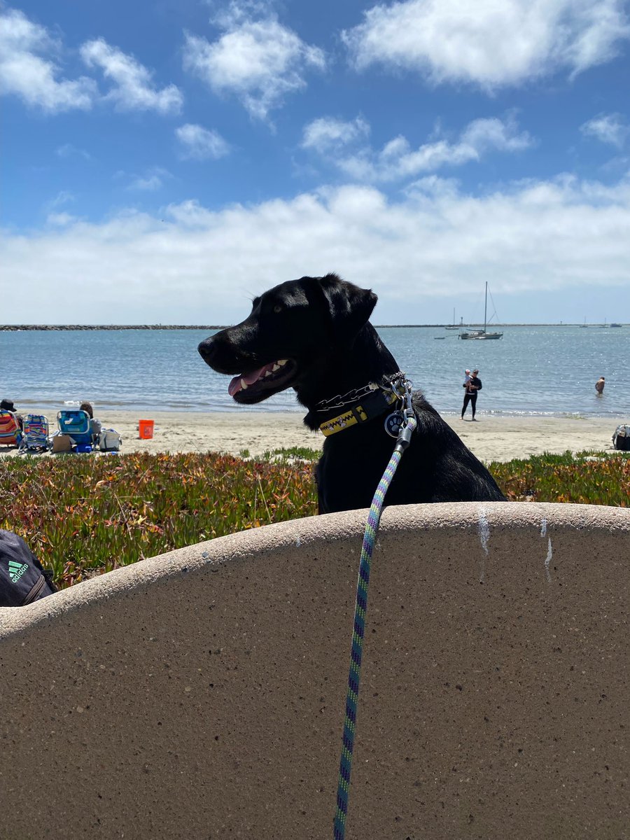 Gina Baer tweet media