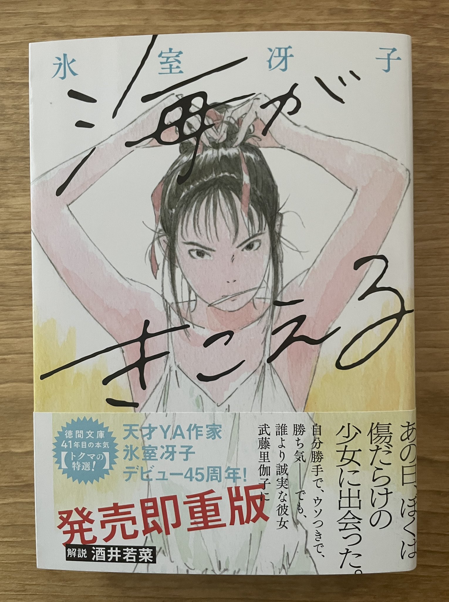 山内直実 なんて素敵にジャパネスク 全巻 人妻編 おちくぼ 氷室冴子 文庫 Marketingagricola Pt