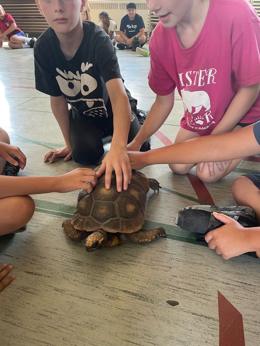 bgcssummercamps's tweet photo. It is really hard to believe that summer camp is over for another year! And what a summer camp we had together! Until next time, take care out there!
#agoodplacetobe #summercamp @BGCSaskatoon https://t.co/aMCxrGwfoT