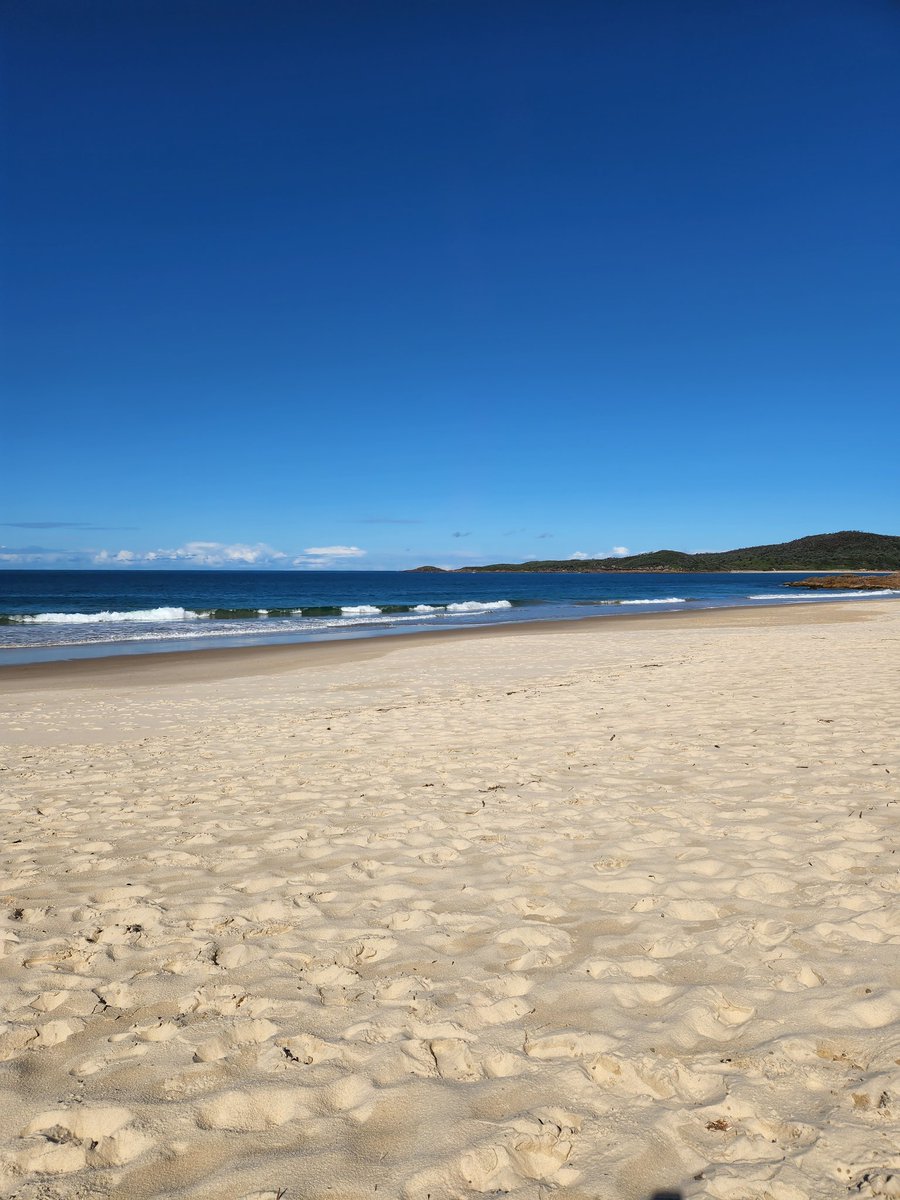 AUSGFF's tweet photo. Omg it's warmish and sunny and I went for a swim. I call it the Viking dip as its freezing in the Pacific Ocean where I live. #beachlife #positiveions #exercise #Mentalhealth #stressrelief #Australia #freedom #cryptogirl #Bitcoin https://t.co/dJKABUwEaQ