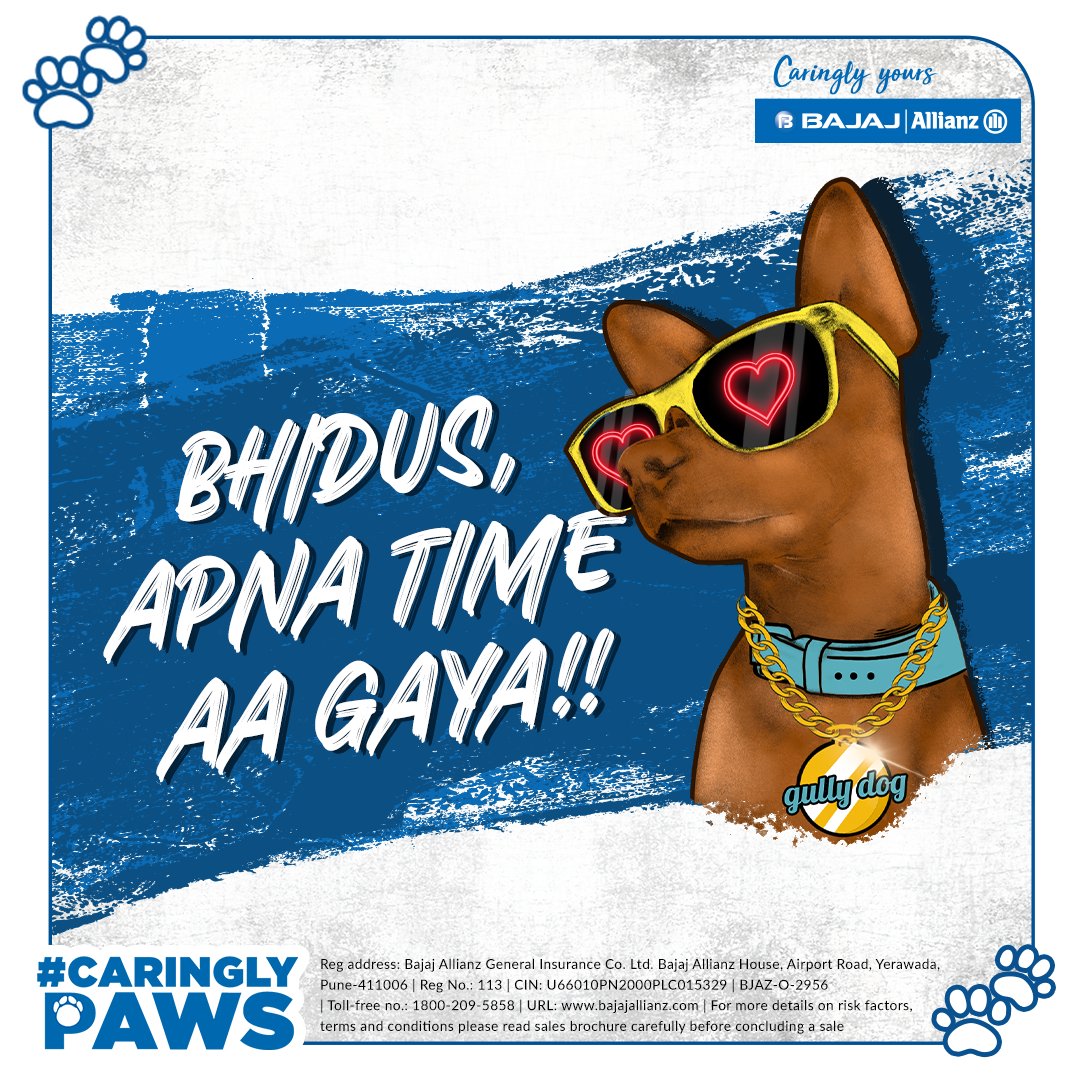 bajajgeneral's tweet photo. #NationalDogDay pe apne ko gift mila hai! 
My hoomans just gifted me a Pet Dog Insurance. Apan ab cool se kewl ban gaya hai!

#CaringlyYours #YouAreSpecial #PetDogInsurance #GullyDog https://t.co/jSrw6DoTcZ