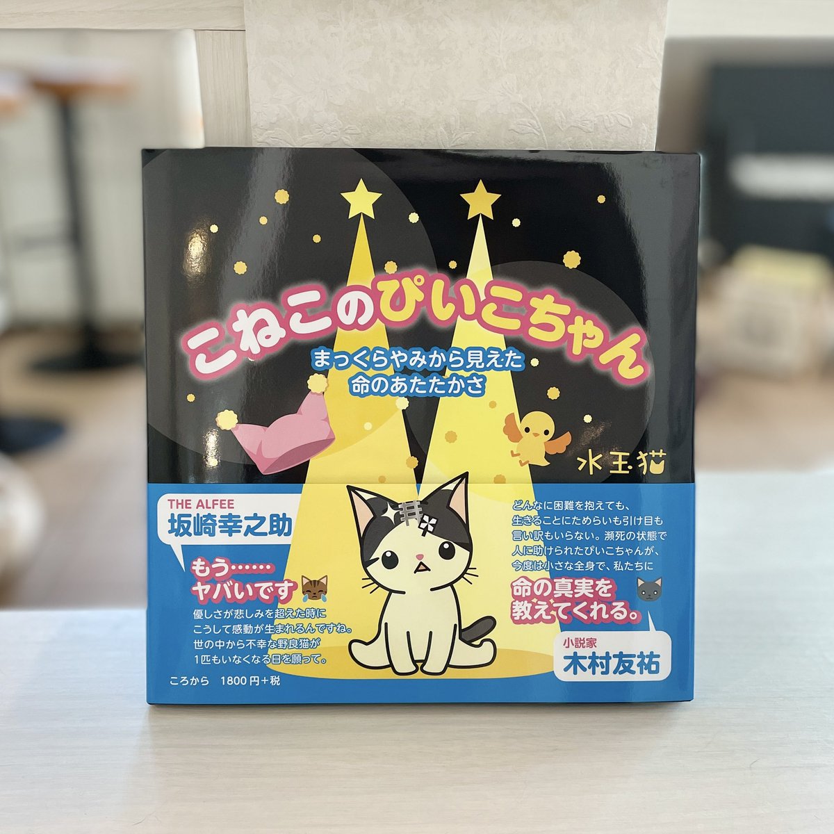 あこねこ様専用ページ 純正通販 digiescola.com.br