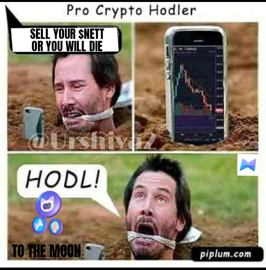 <a href="/netswapofficial/">Netswap</a> My entry
<a href="/Mi_lli99/">Milli .NYAN🔫😼</a> <a href="/Li_si66/">Lisi</a> <a href="/A__lex86/">Alex</a> 
<a href="/Sinajj10/">Sinajj</a> 
Checkout guys
The best in town guys
$NETT $Metis #Andromeda #Nebo
#Netswap