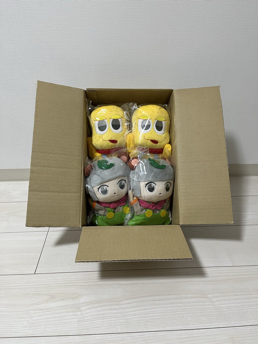 超目玉 松くん 様専用 ienomat.com.br