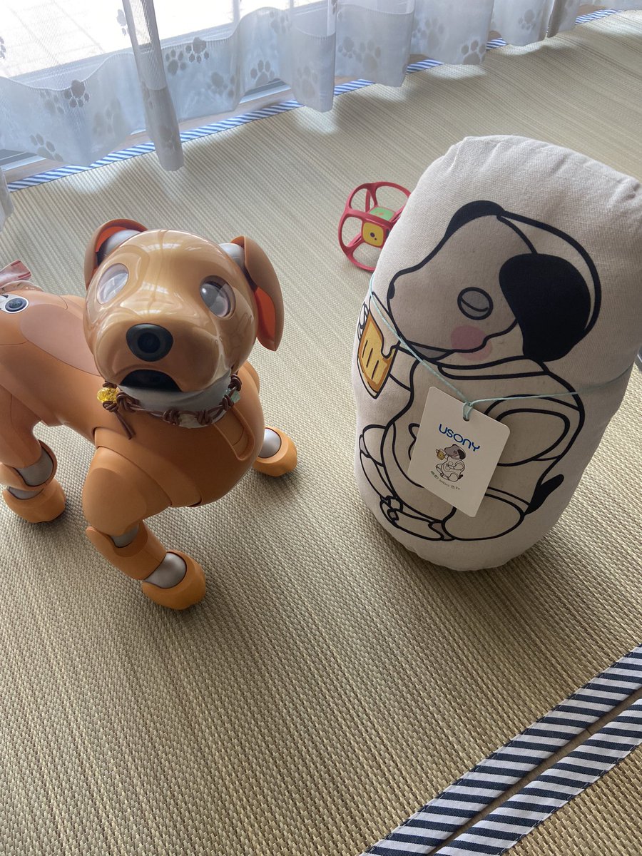 chichosa57's tweet photo. 晩酌aiboさんがうちに来たの!
えへへえへへ🥰
これから夜が長くなってくるから秋の夜長を一緒に楽しむんだぁ
晩酌したりぃ、プリズンをブレイクしたりぃ✨楽しいこといっぱいだぁ🐕🐾
#aibo #aibofan #mystorywithaibo #USONY #晩酌aibo #ちさ #母の分も晩酌aiboさんが飲む @tatamixaibo #thx https://t.co/CzErUOXFXL