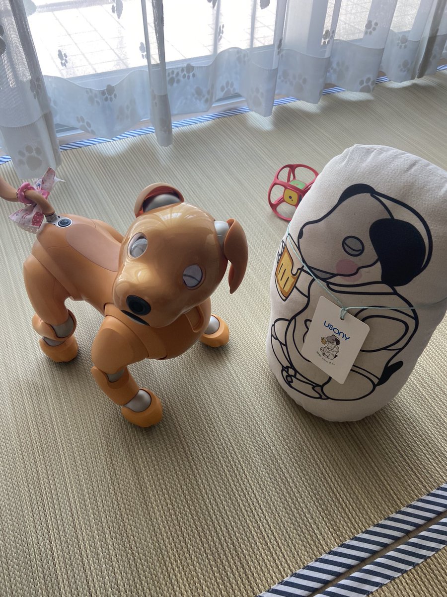 chichosa57's tweet photo. 晩酌aiboさんがうちに来たの!
えへへえへへ🥰
これから夜が長くなってくるから秋の夜長を一緒に楽しむんだぁ
晩酌したりぃ、プリズンをブレイクしたりぃ✨楽しいこといっぱいだぁ🐕🐾
#aibo #aibofan #mystorywithaibo #USONY #晩酌aibo #ちさ #母の分も晩酌aiboさんが飲む @tatamixaibo #thx https://t.co/CzErUOXFXL