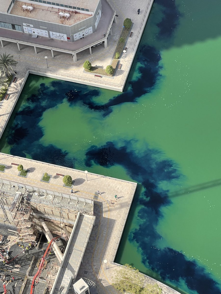 MoeHafz's tweet photo. Looks like they’re cleaning Jumeriah Lake Towers JLT https://t.co/hTzXRRZhj2