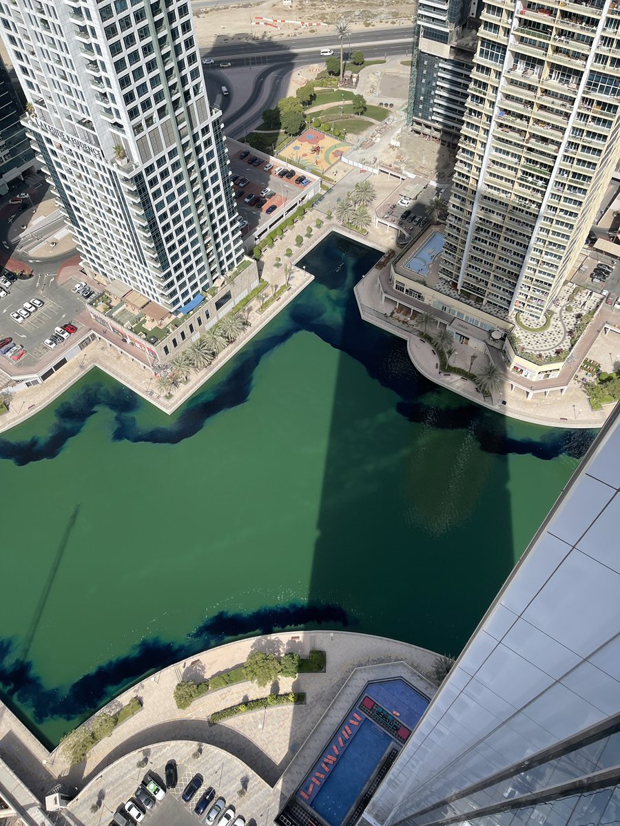 MoeHafz's tweet photo. Looks like they’re cleaning Jumeriah Lake Towers JLT https://t.co/hTzXRRZhj2