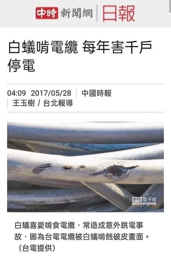 鴨嘴獸 tweet media