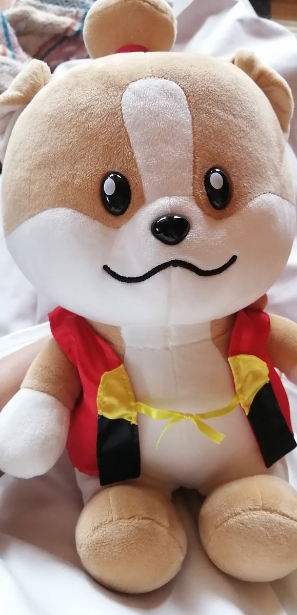 7201nn's tweet photo. 犬���行くならわん丸君連れていけばよかったな🤔
あたしのわん丸君かわいいでしょ🤭 https://t.co/EgXY6GodTz