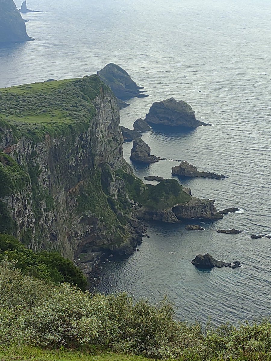YujiTani's tweet photo. 西之島に戻って、今度は観光バスに乗り、摩天崖、通天橋、国賀海岸を巡る遊歩道を歩きます。遊歩道と言���ても舗装された道ではなく、辺りには牛馬が放牧されています。
#隠岐の島
#西ノ島
#島旅 https://t.co/d0xPHdCyxk