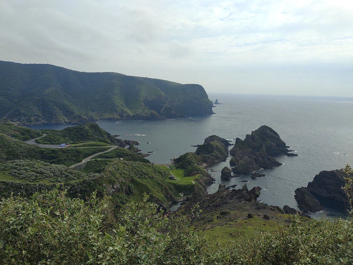 YujiTani's tweet photo. 西之島に戻って、今度は観光バスに乗り、摩天崖、通天橋、国賀海岸を巡る遊歩道を歩きます。遊歩道と言���ても舗装された道ではなく、辺りには牛馬が放牧されています。
#隠岐の島
#西ノ島
#島旅 https://t.co/d0xPHdCyxk