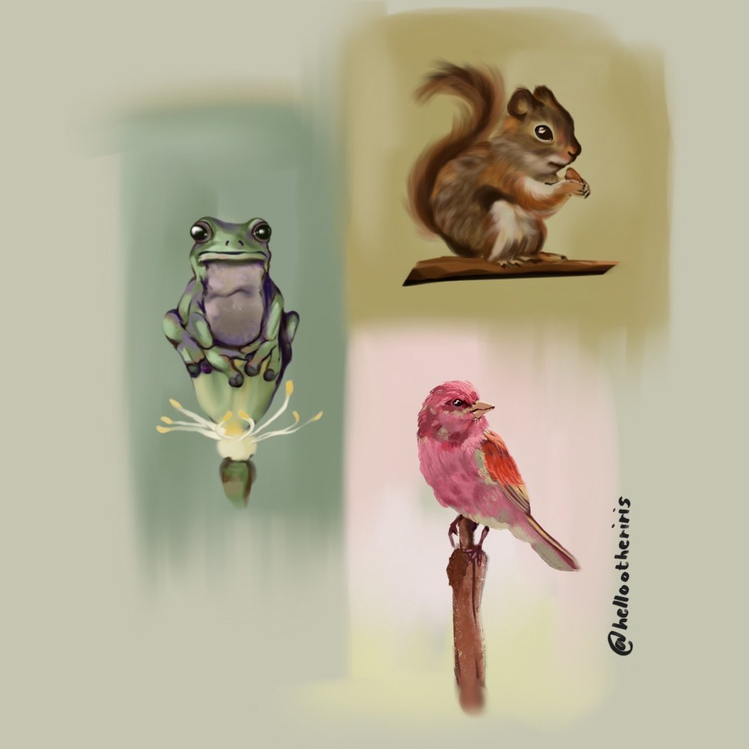 hellootheriris's tweet image. Some cuties #artph