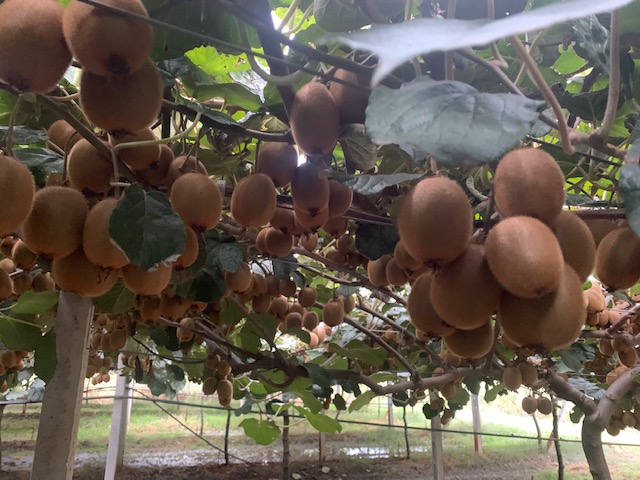 Jupiter Group tweet media