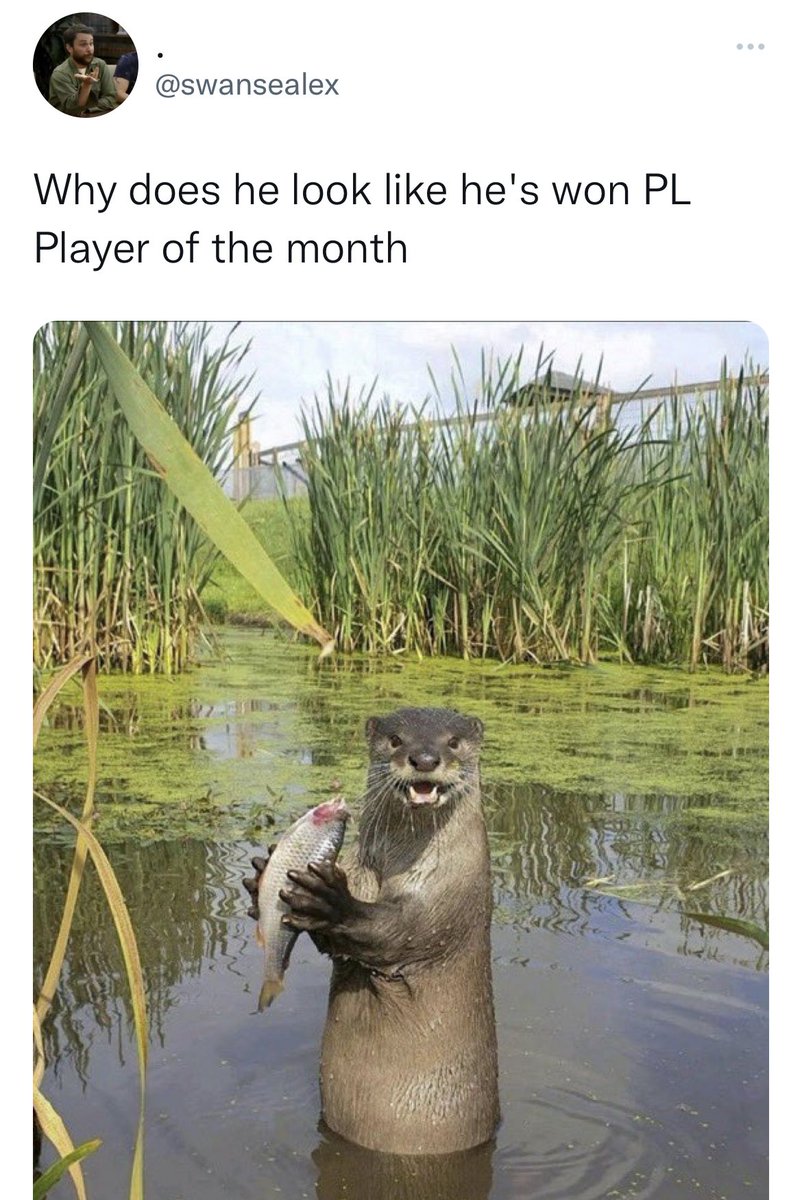 nocontextfooty's tweet photo. https://t.co/QOOtkXYtfB