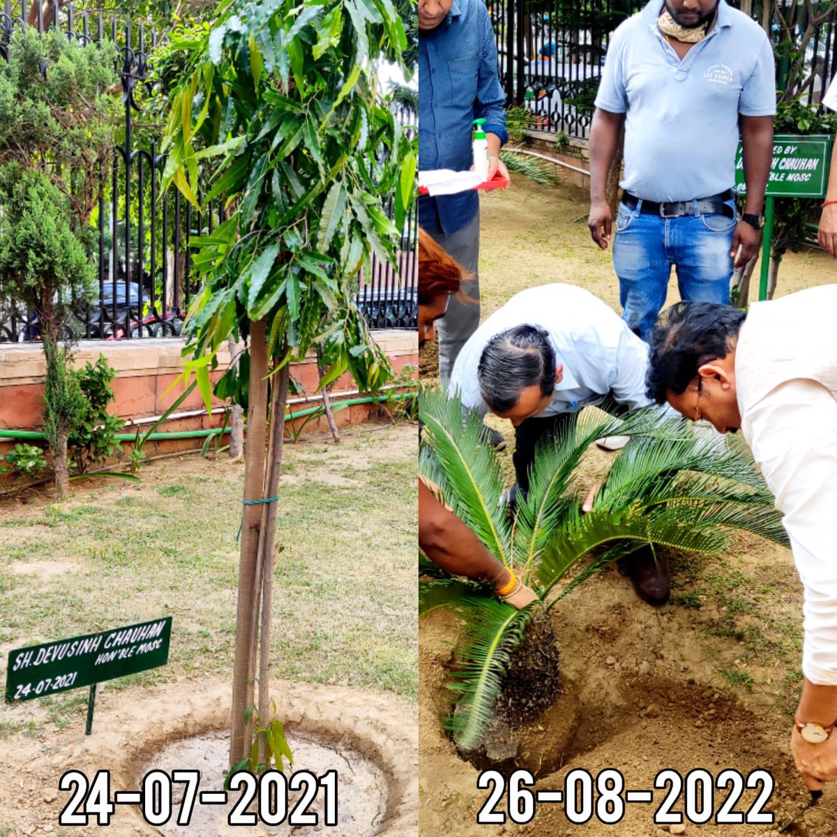 Devusinh Chauhan tweet media