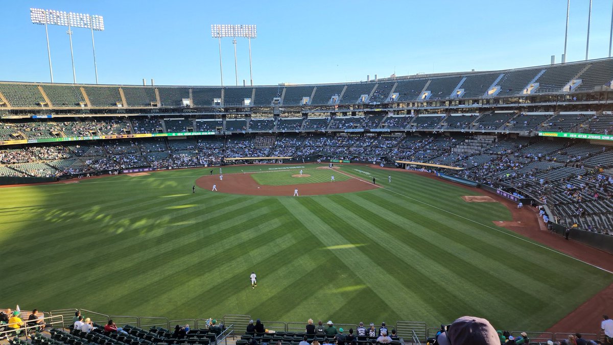 _AustinMoore's tweet photo. Another beautiful night for baseball #repbx https://t.co/mzQEmxlzzf
