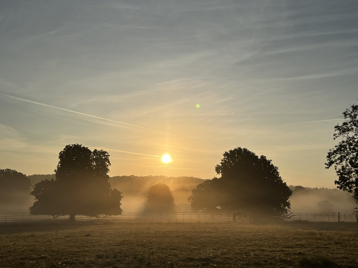 What a glorious misty start to the first day of the Oak Fair at Stock Gaylard. Open from 10-5 today & tomorrow for a celebration of all thing countryside related. #NorthDorset #ruralcrafts #OakFair #TreeClub @TheKentAcorn @LanesTree