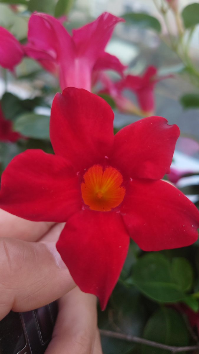 Christian Rose (@cirose11) on Twitter photo 