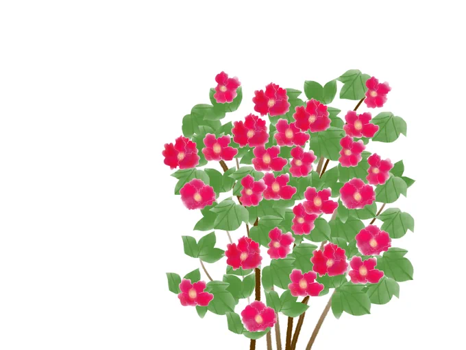 芙蓉いっぱい 