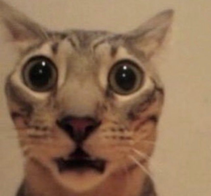 katsvrei's tweet photo. @prettyboykats ME WHEN U TWEETED THIS. https://t.co/OUj9q25XQb