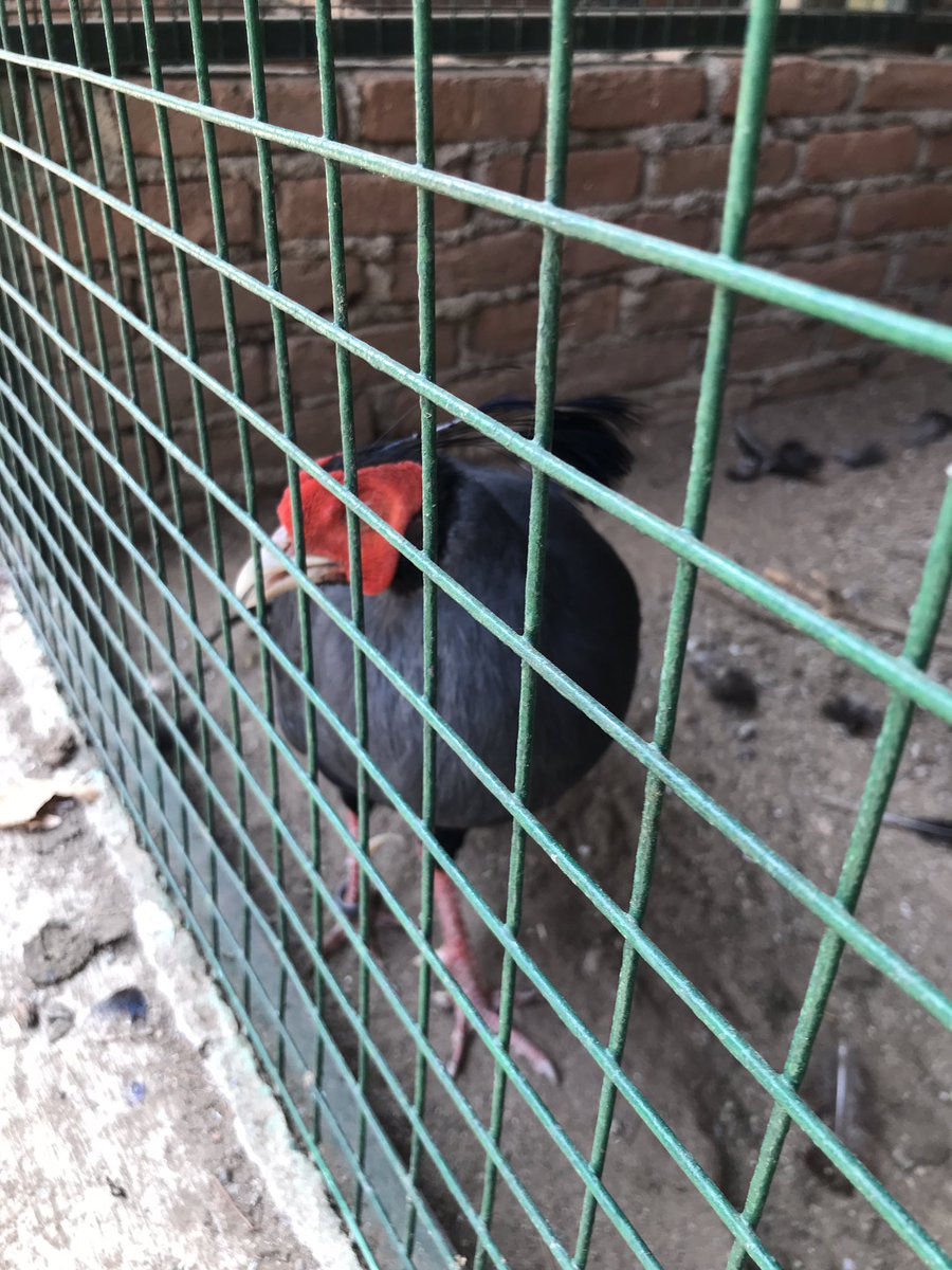 tarkan teller arasında görüntülendi