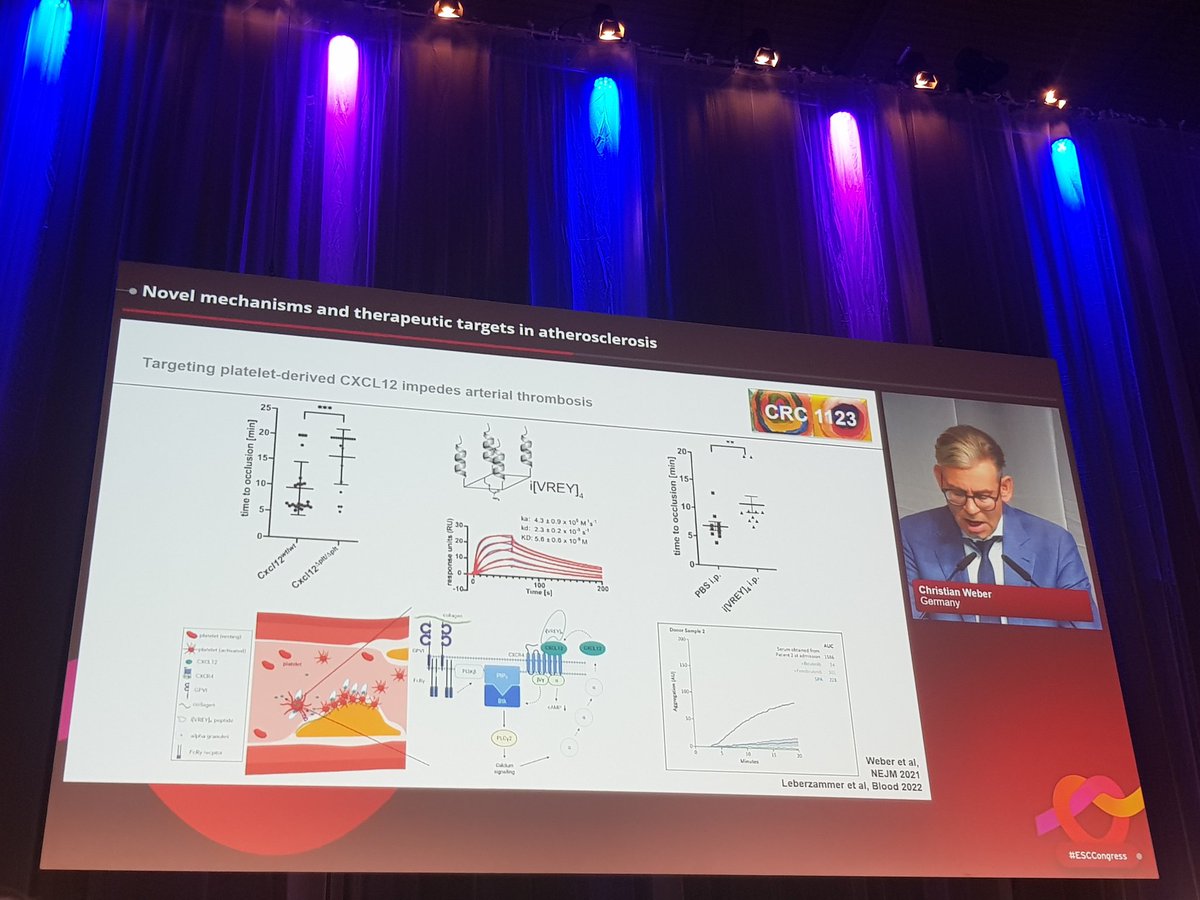 CVR_TomaszGuzik's tweet photo. Prof Christian Weber receives the ESC William Harvey Lecture Award in #BasicScience for his unique &amp; outstanding contributions to #atherosclerosis #research &amp; shares his latest work - congratulations Christian!

#ESCCongress #ESCBasicScience #ATLOs #CVD #CardiovascularResearch https://t.co/DNlCV9qK8p
