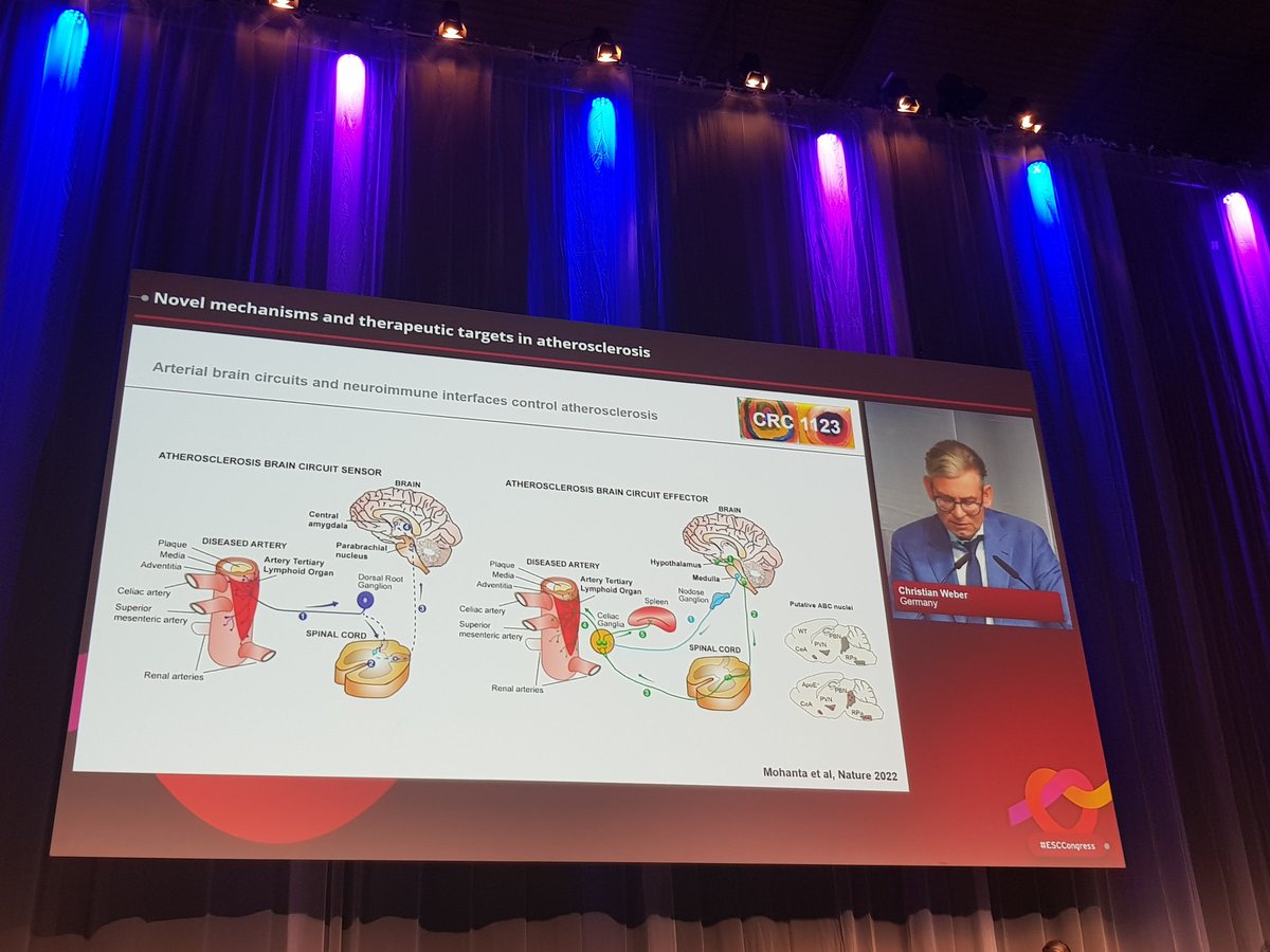 CVR_TomaszGuzik's tweet photo. Prof Christian Weber receives the ESC William Harvey Lecture Award in #BasicScience for his unique &amp; outstanding contributions to #atherosclerosis #research &amp; shares his latest work - congratulations Christian!

#ESCCongress #ESCBasicScience #ATLOs #CVD #CardiovascularResearch https://t.co/DNlCV9qK8p