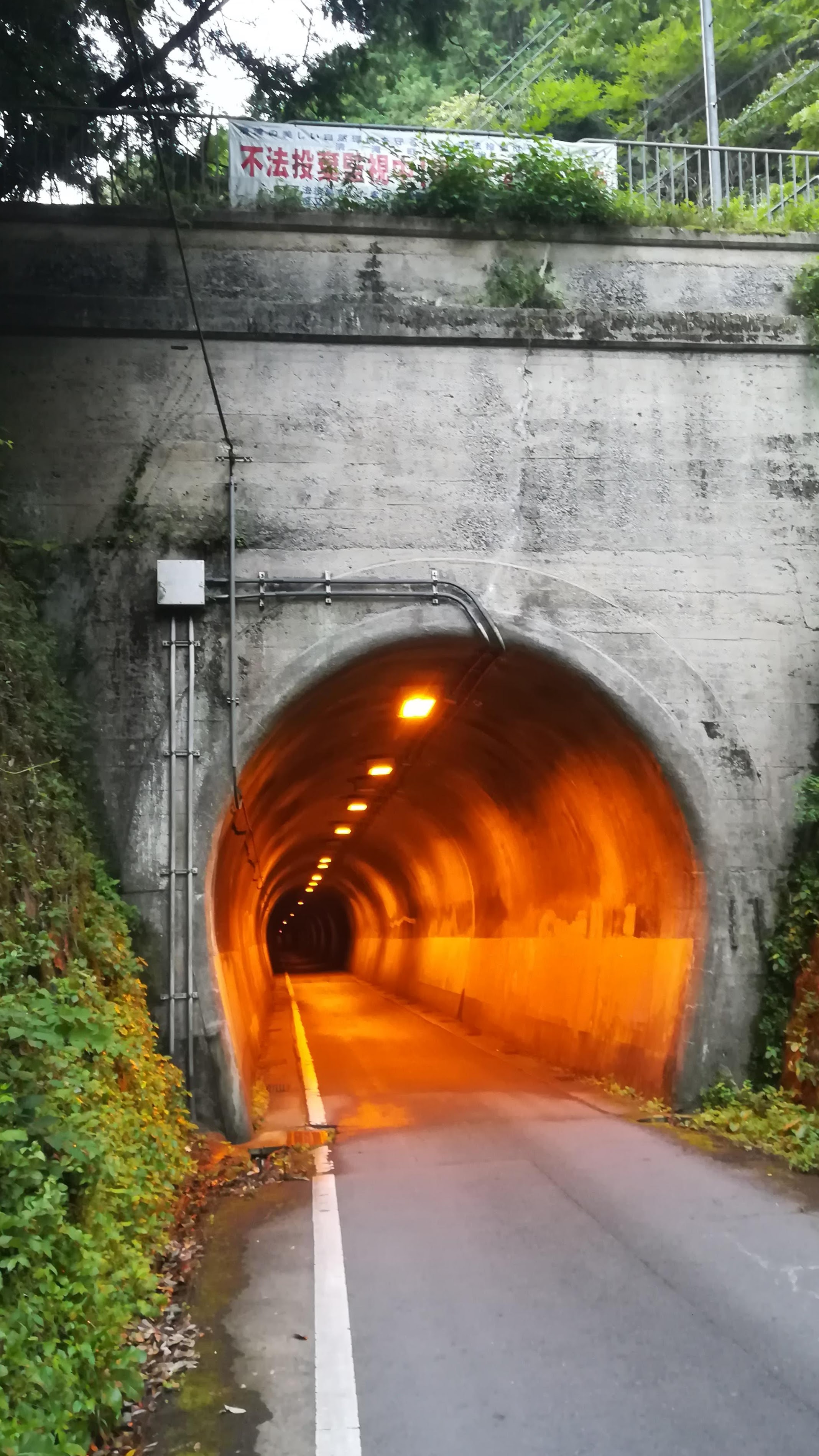 愛のトンネル 🚲 暑い時は心霊スポット⁈ #愛知県 の有名なお化けトンネル
