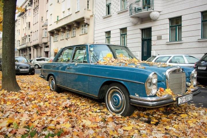 Thibault_BEAL's tweet photo. #blueber Zagreb, 2010
C’est validé?
@NHoonited @leblogauto @FaucoBen https://t.co/zR8f0JJXMQ