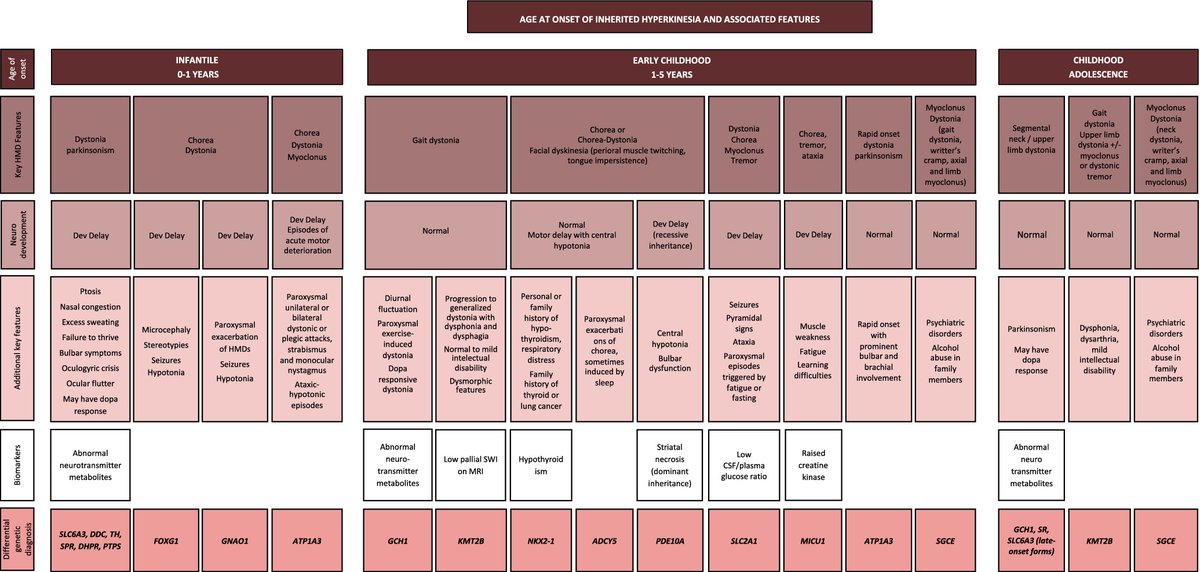 Jacky Ganguly (@jackyganguly) on Twitter photo Genetic Landscape of Childhood-Onset Hyperkinetic Movement Disorders from Prof Kurian et al. #neurotwitter
Parkinsonism-dystonia : DDC, DHPR, PTPS, SLC6A3, SPR, TH
Chorea: ADCY5, ATP1A3, FOXG1, NKX2.1, SLC2A1, GNAO1, PDE10A
Stereotypies: FOXG1, GNAO1
doi.org/10.1002/mds.29… Genetic Landscape of Childhood-Onset Hyperkinetic Movement Disorders from Prof Kurian et al. #neurotwitter
Parkinsonism-dystonia : DDC, DHPR, PTPS, SLC6A3, SPR, TH
Chorea: ADCY5, ATP1A3, FOXG1, NKX2.1, SLC2A1, GNAO1, PDE10A
Stereotypies: FOXG1, GNAO1
doi.org/10.1002/mds.29…