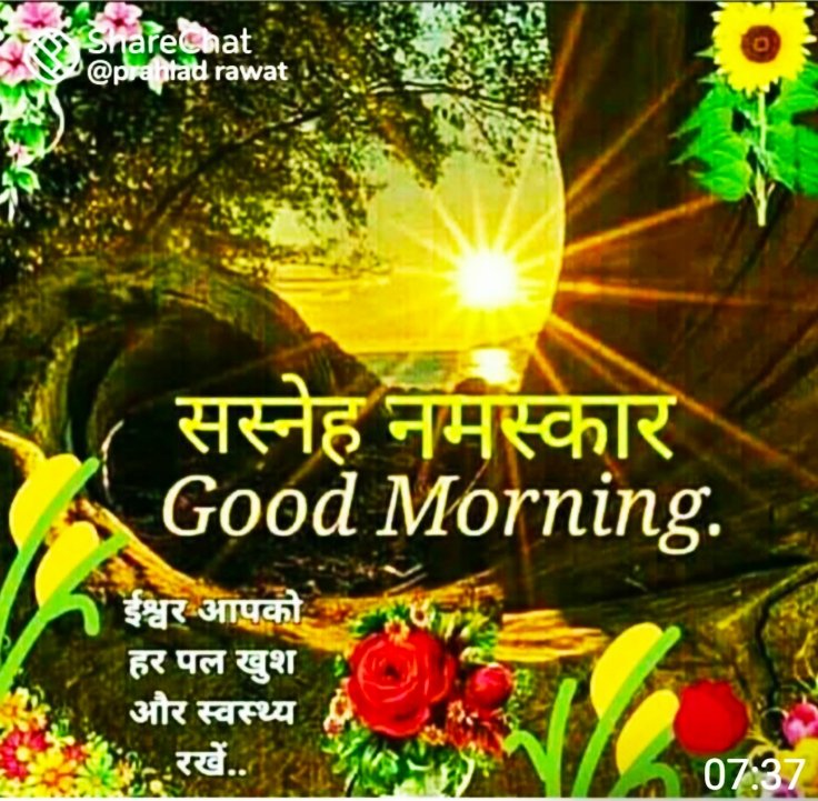 PushpaV61422908's tweet photo. शुभ प्रभात सभी मित्रों को😍🙏😍 https://t.co/xVdZRMfnOP