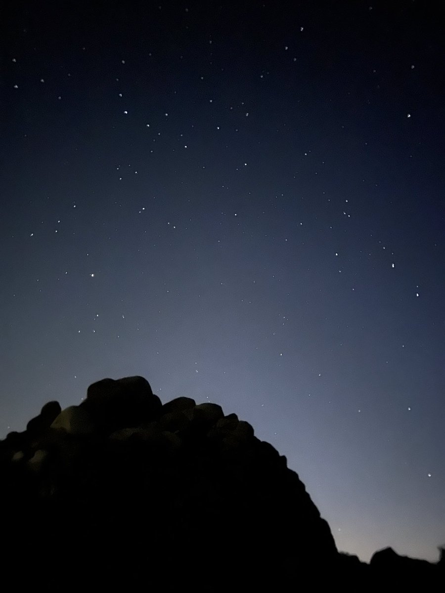 ally_bae's tweet photo. Stargazing at JT with the love of my life #shotoniphone https://t.co/8xK59Vby0L