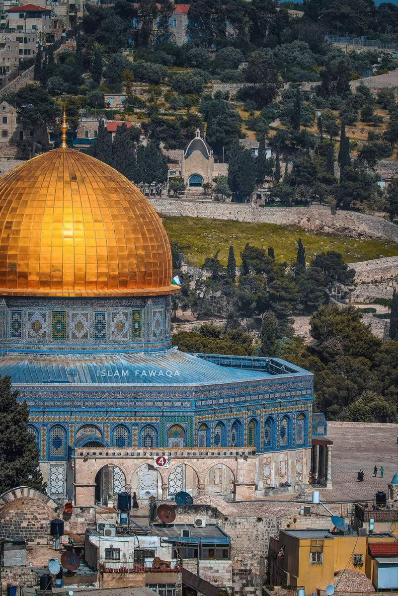 Timesofgaza's tweet photo. Good morning from the eternal capital of Palestine. https://t.co/oSjw7n0819
