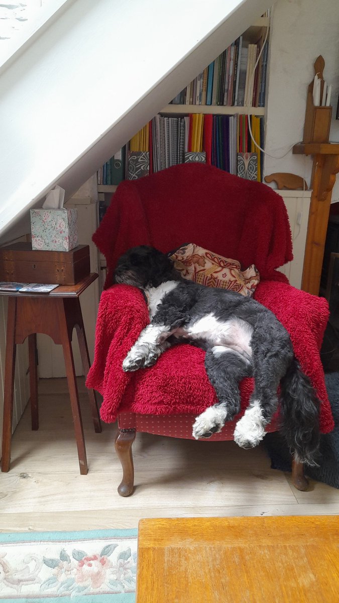 Oops, only just noticed yesterday was #InternationalDogDay2022 Karma obviously knew as I sent this pic to my daughter in the morning "it's a dogs life"!