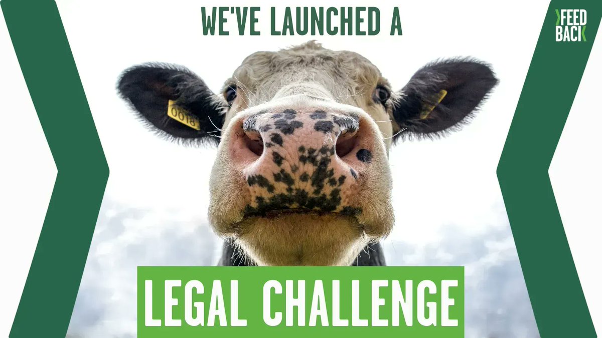 We’re taking legal action against the UK government for its Food Strategy.

The Government Food Strategy ignores the advice of its own expert climate advisers, presenting no meaningful measures to reduce meat and dairy.

#FixOurFood

buff.ly/3dYIMmx
