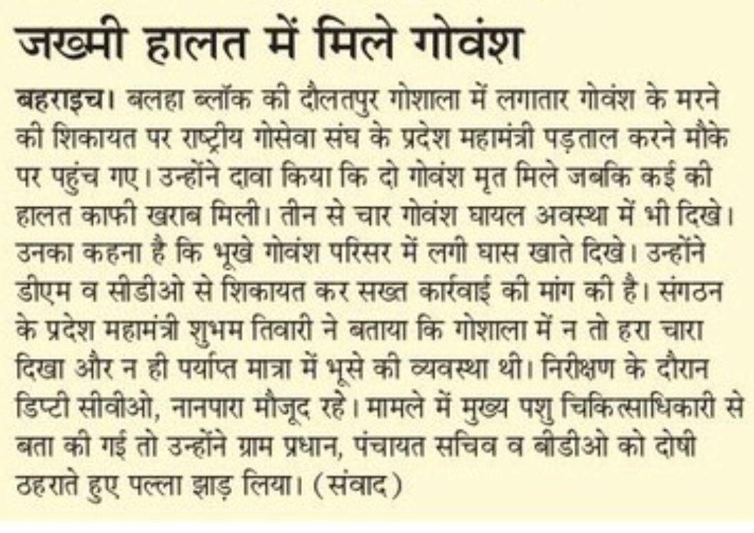 jitendra2092's tweet photo. #बहराइच में गौवंशों की दुर्दशा, #राष्ट्रीयगौसेवा के प्रदेश महामंत्री के निरीक्षण में मृत मिले दो गोवंश, कई जख्मी, कई भूख से तड़पते,,
कहां गया गोवंश संरक्षण का दावा,,एक तरफ #किसान चौकीदार बने है,तो दूसरी तरफ गोवंशो की दुर्दशा है।
@dgpup @myogiadityanath @jilashasanyojak https://t.co/xPDU8qjKQ9